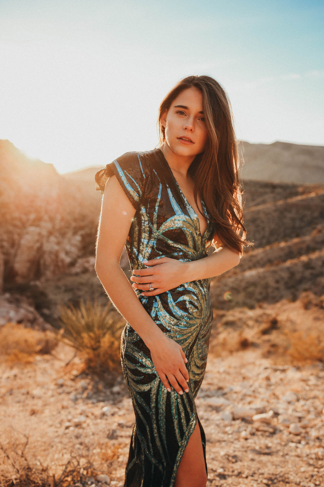 The Hobby Horse Gown